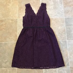 Loft Lace Dress in Plum